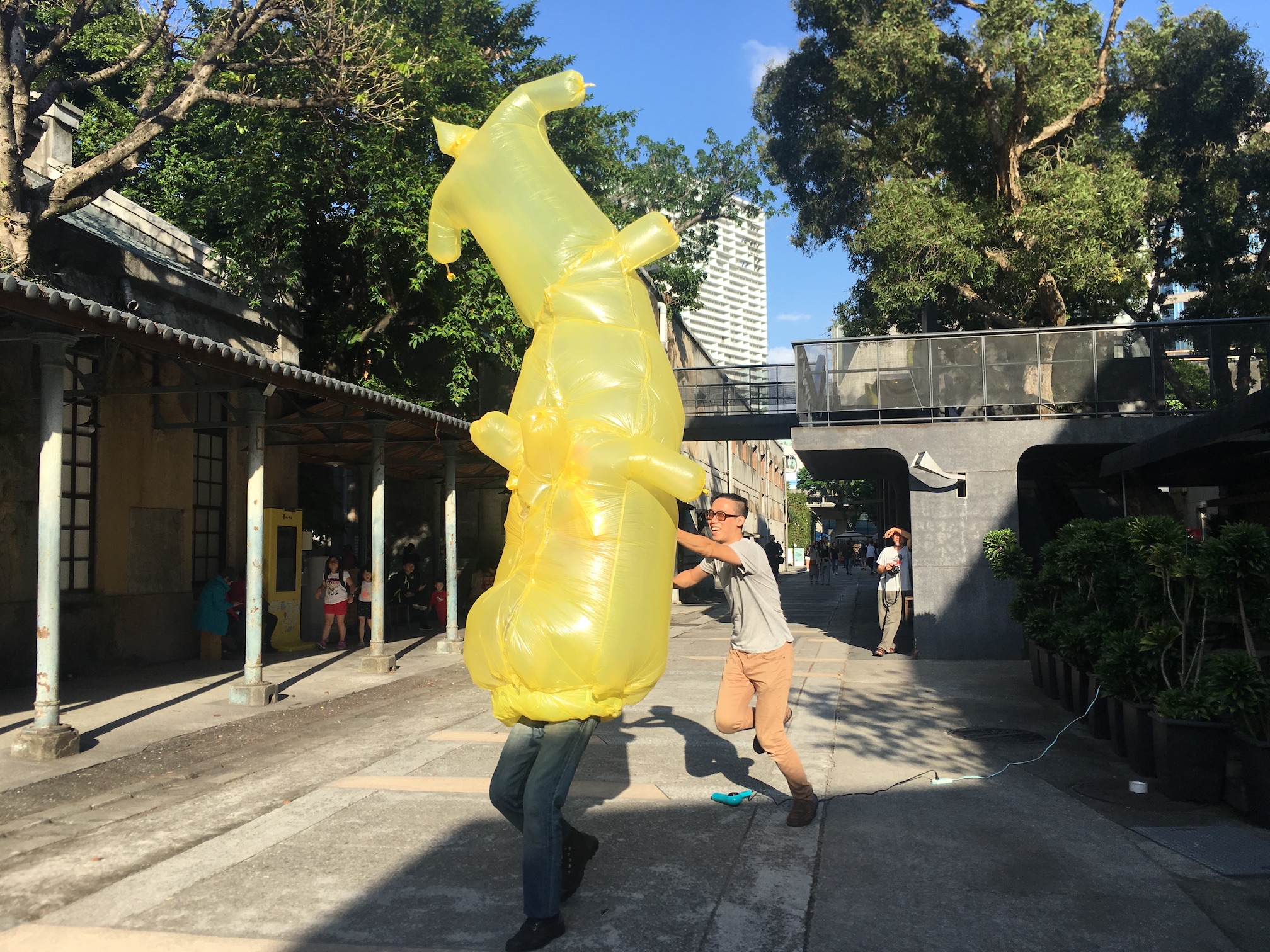 The opposite project